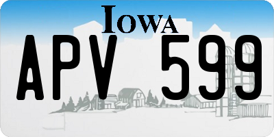 IA license plate APV599