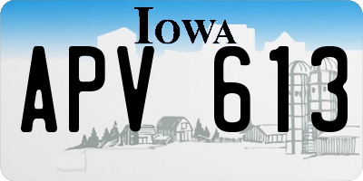 IA license plate APV613