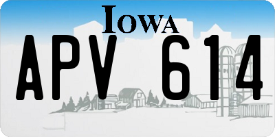 IA license plate APV614