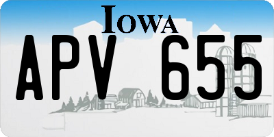 IA license plate APV655