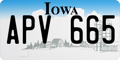 IA license plate APV665