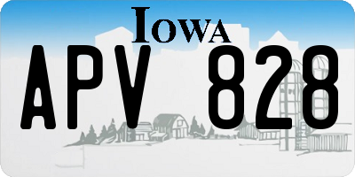 IA license plate APV828