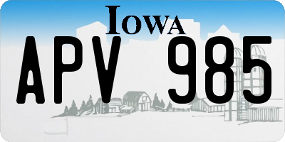 IA license plate APV985