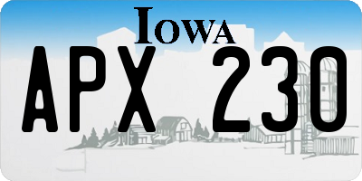 IA license plate APX230
