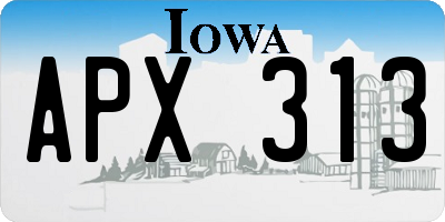 IA license plate APX313