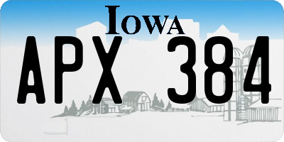 IA license plate APX384