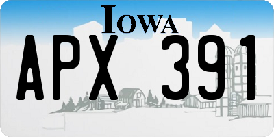IA license plate APX391