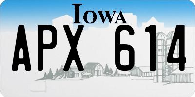 IA license plate APX614