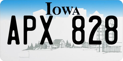 IA license plate APX828