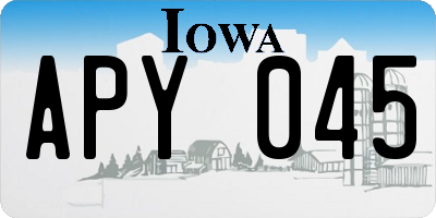 IA license plate APY045
