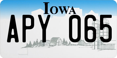 IA license plate APY065