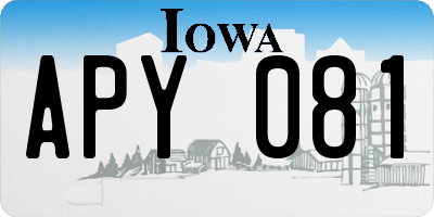 IA license plate APY081
