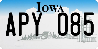 IA license plate APY085