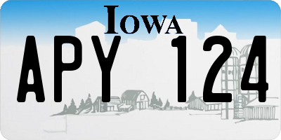 IA license plate APY124