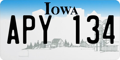 IA license plate APY134
