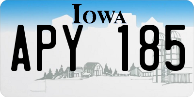 IA license plate APY185