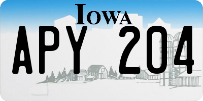 IA license plate APY204