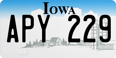 IA license plate APY229