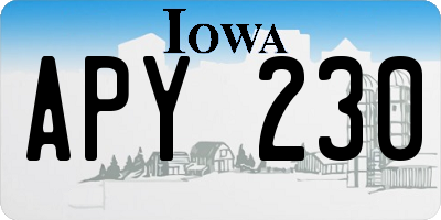 IA license plate APY230