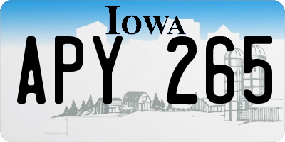 IA license plate APY265