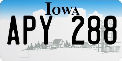 IA license plate APY288