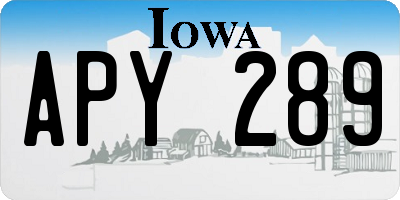 IA license plate APY289