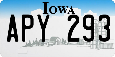 IA license plate APY293