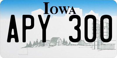 IA license plate APY300