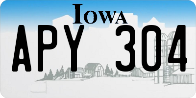 IA license plate APY304