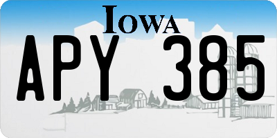 IA license plate APY385
