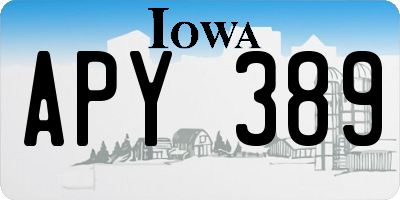IA license plate APY389