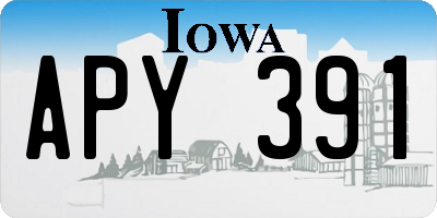 IA license plate APY391