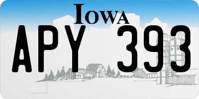 IA license plate APY393