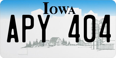 IA license plate APY404