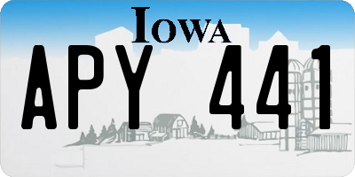 IA license plate APY441