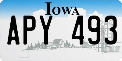 IA license plate APY493