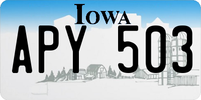 IA license plate APY503