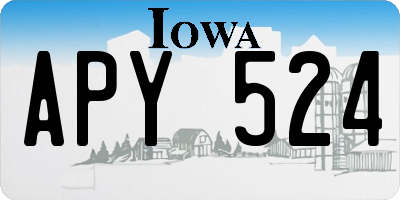 IA license plate APY524