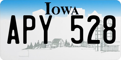 IA license plate APY528