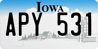IA license plate APY531