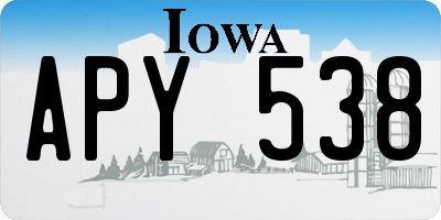 IA license plate APY538