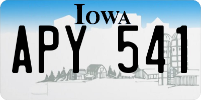 IA license plate APY541