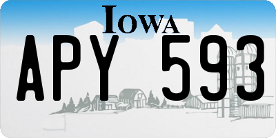 IA license plate APY593