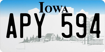 IA license plate APY594