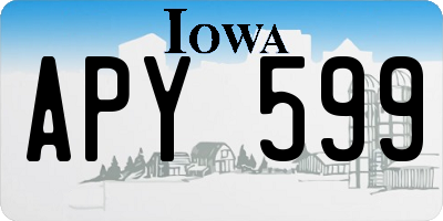 IA license plate APY599