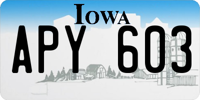 IA license plate APY603