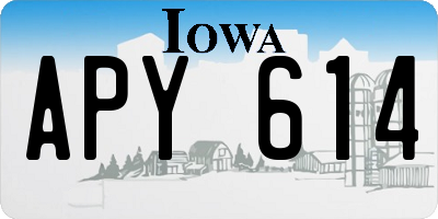 IA license plate APY614