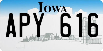 IA license plate APY616