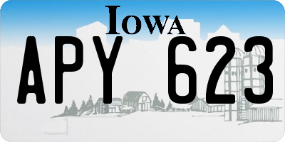 IA license plate APY623