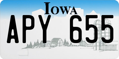 IA license plate APY655